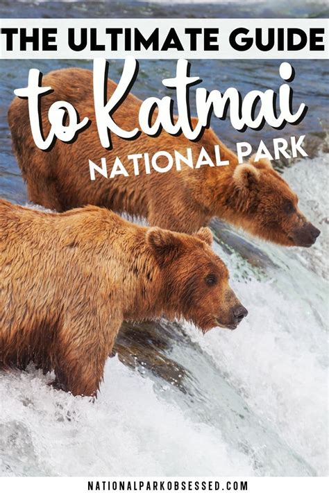 Visiting Katmai National Park and Preserve: The Complete Guide (2021.